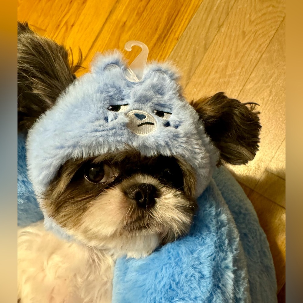 Grumpy Care Bear. Care Bears . Famous MINISO product. Cute hat for - Picture 3 of 14